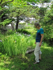 Anke admiring the Irises